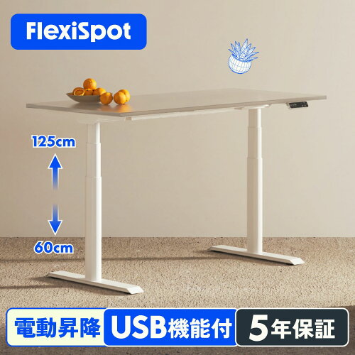 FLEXISPOT E8