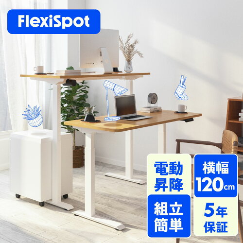 FLEXISPOT E9