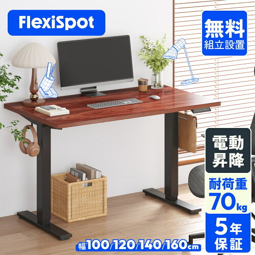 FlexiSpot EF1