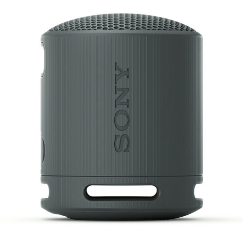 Sony SRS-XB100