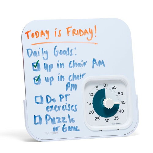 Time Timer Pro